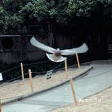 南京出游|“第几次 我们一起上钟山？”