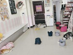 -汪说·狗咖(旺城大厦店)