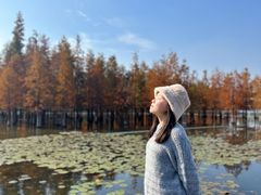 -白鹭湾湿地公园