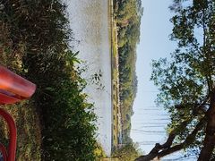 -东莞植物园