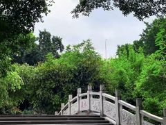 -小洲村