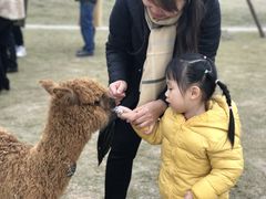 -黄龙溪欢乐田园