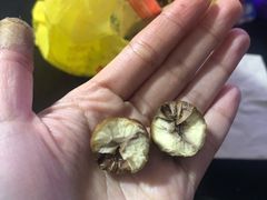 -好好栗子店(海宁总店)