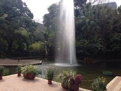 九龙公园-九龙公园