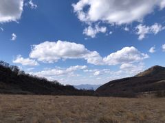 -白草畔自然风景区