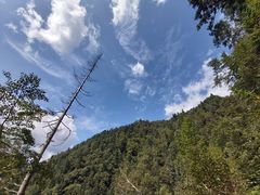 -凤凰山国家森林公园