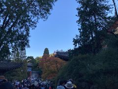 -香山公园