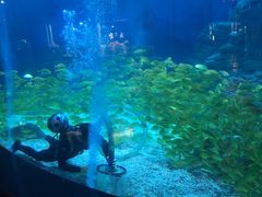 -烟台海昌鲸鲨海洋公园