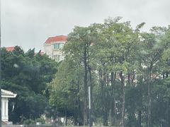 -华侨公园
