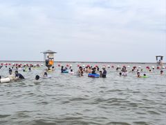 -碧海金沙