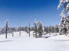 -瓦屋山景区
