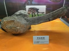 -诸城市恐龙博物馆