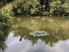 -中国科学院西双版纳热带植物园