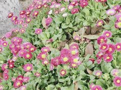 -汉口江滩-江滩观星台