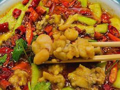 -杨氏青龙虾·羊蝎子(珠江路店)