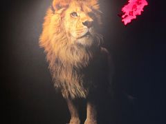 -老鼎旺安格斯牛肉火锅(衡艺广场店)