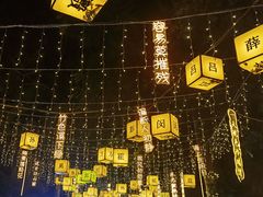 -广西壮族自治区药用植物园