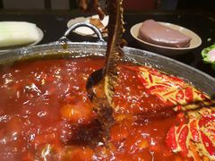 -肥龙火锅(南坪店)