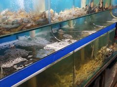 水产区-船梆煮•蒸汽海鲜·生腌干蒸(五四广场店)