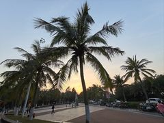 -白沙门生态公园