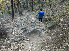 -阳台山自然风景区