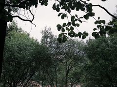 -兰溪地下长河