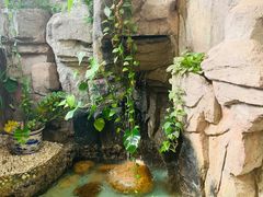 -勝記酒家·37年老字号·经典粤菜(荔枝公园店)