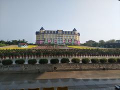 -百万葵园