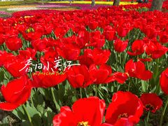-静安雕塑公园