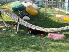 -水上乐园·欢乐世界