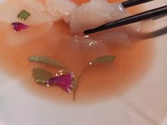 -觀芷隐轩