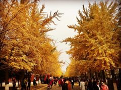 -辽宁大学(崇山校区)