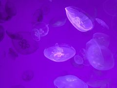 -沈阳海洋探索中心