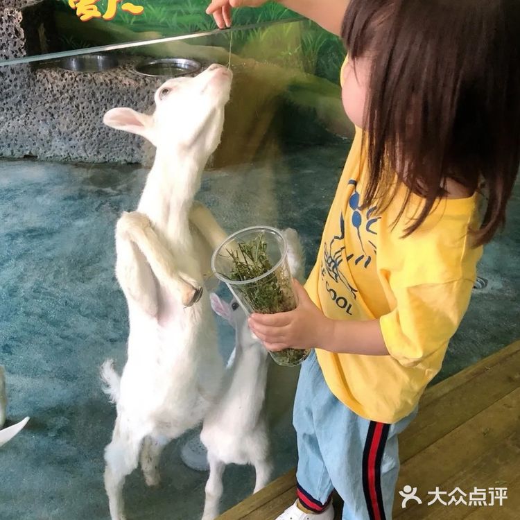 三千多平米的室内动物园你去过吗？