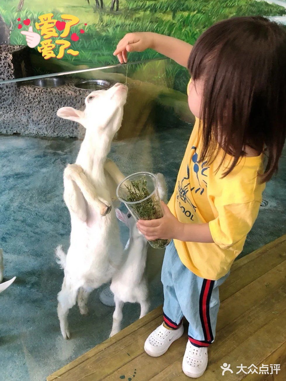 三千多平米的室内动物园你去过吗？