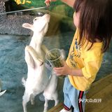 三千多平米的室内动物园你去过吗？