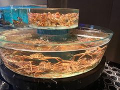 -许家菜.艺创菜(仁和新城店)