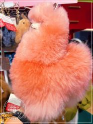 -Hamleys哈姆雷斯(东方福来德店)