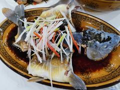 -乡土特色.冷锅鱼.牦牛肉汤锅