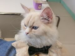 -怪兽屋·羊驼·猫咖·狗咖(俊华广场店)