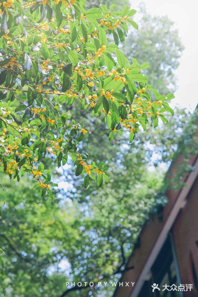 浙大之江校区| 杭州最美大学打卡