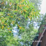 浙大之江校区| 杭州最美大学打卡