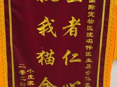 -中农国际动物医院24小时·猫科·骨科·急重症中心