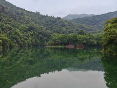 -鼎湖山风景区