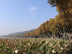 -北山街历史文化街区