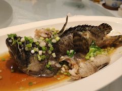 -小粤楼(万辉广场店)