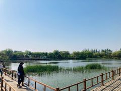 -燕郊植物园