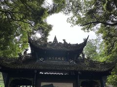 -青城山