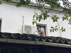 -西园戒幢律寺