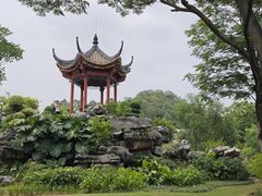 -顺峰山公园